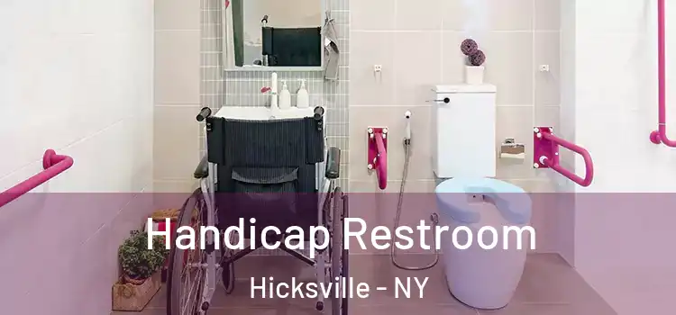 Handicap Restroom Hicksville - NY