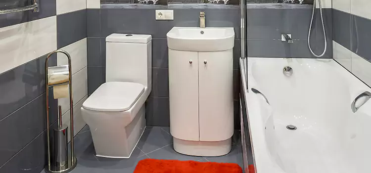 Hansgrohe Shaving Mirror Hicksville