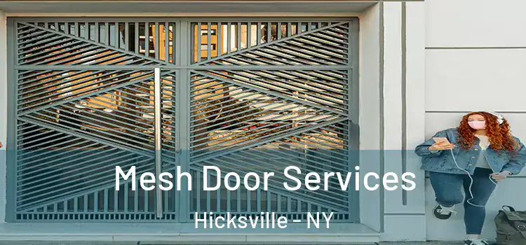Mesh Door Services Hicksville - NY